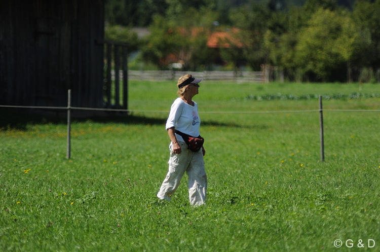 lienz031