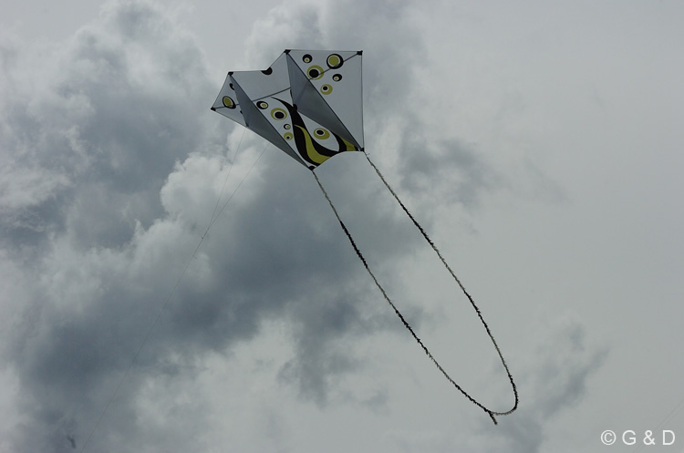 lienz056