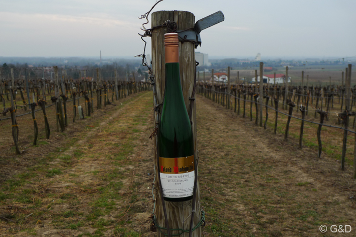 rochusberg11