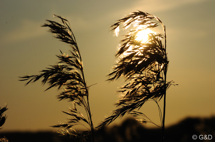 BercksurMer_083