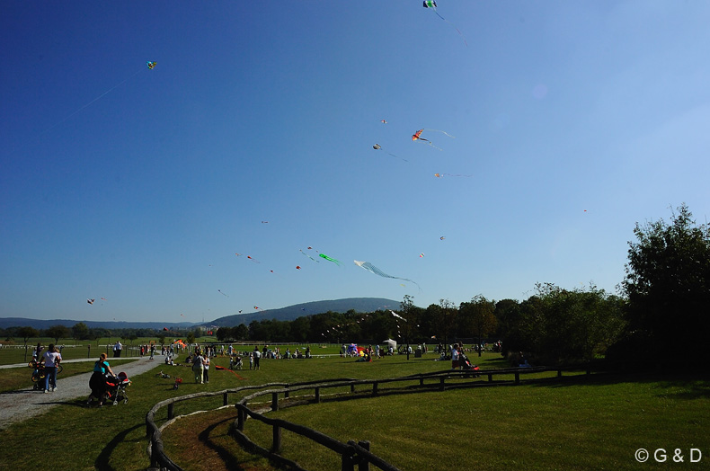 Drachensteigfest_04