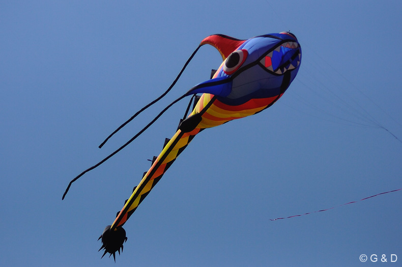 Drachensteigfest_09