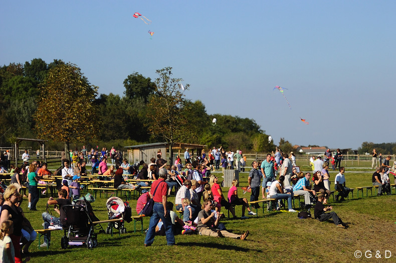 Drachensteigfest_41