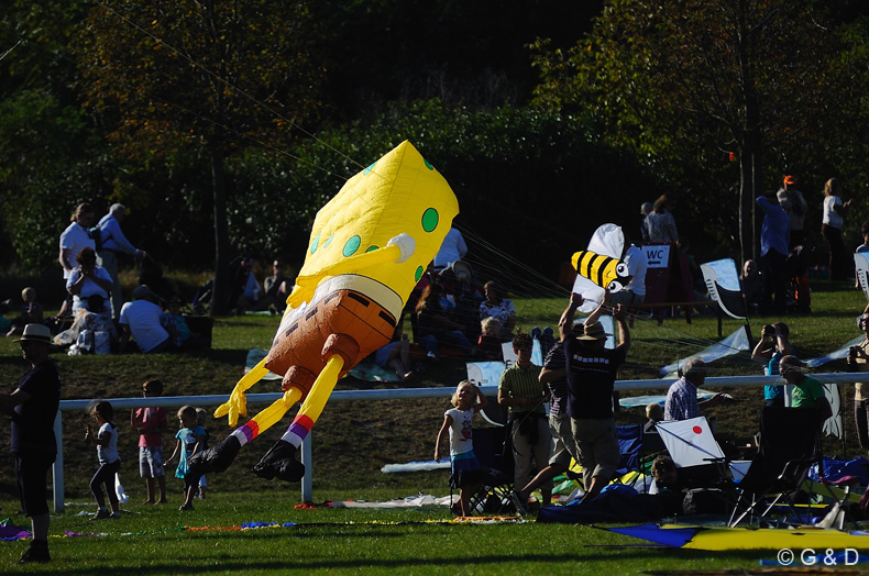 Drachensteigfest_46