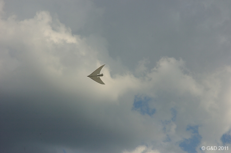 Drachenfest_Wien134