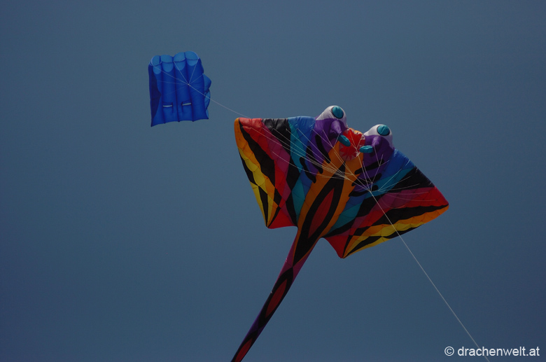 Mostviertler_Drachenfest_47