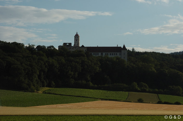 Schallaburg_111