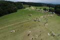 Schallaburg_217