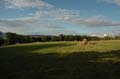 Schallaburg_222