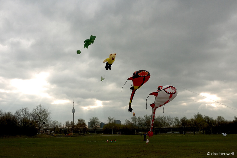 wienfruehling_2012_02