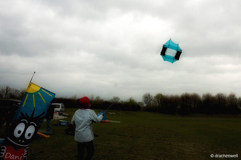 wienfruehling_2012_03
