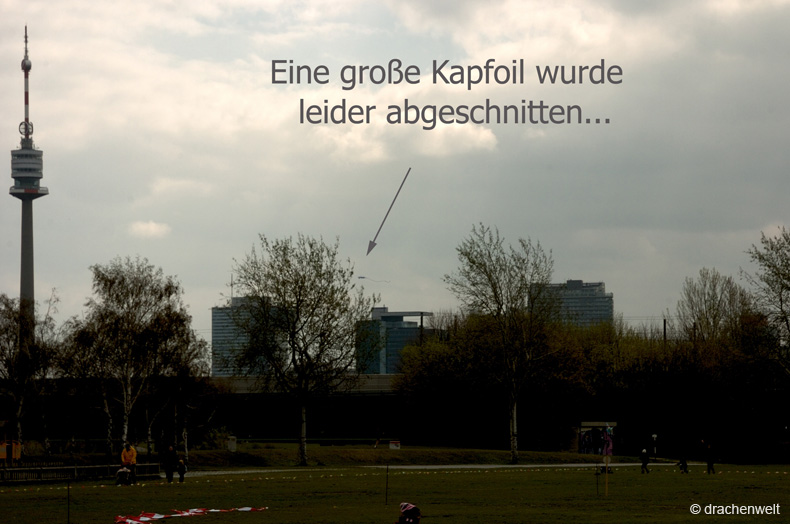 wienfruehling_2012_11