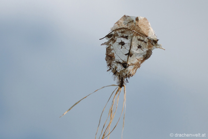 Dieppe_2012.066