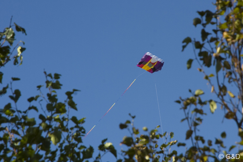 Dragefestival_Skagen 10