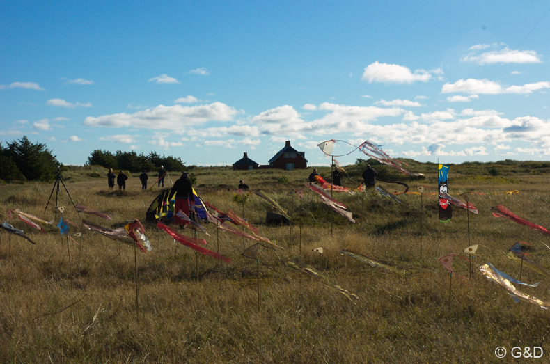 Dragefestival_Skagen 13