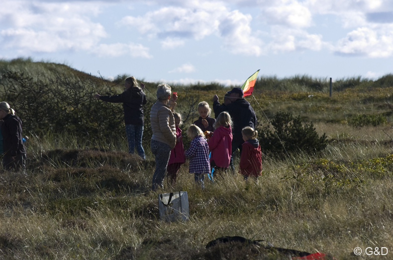 Dragefestival_Skagen 14