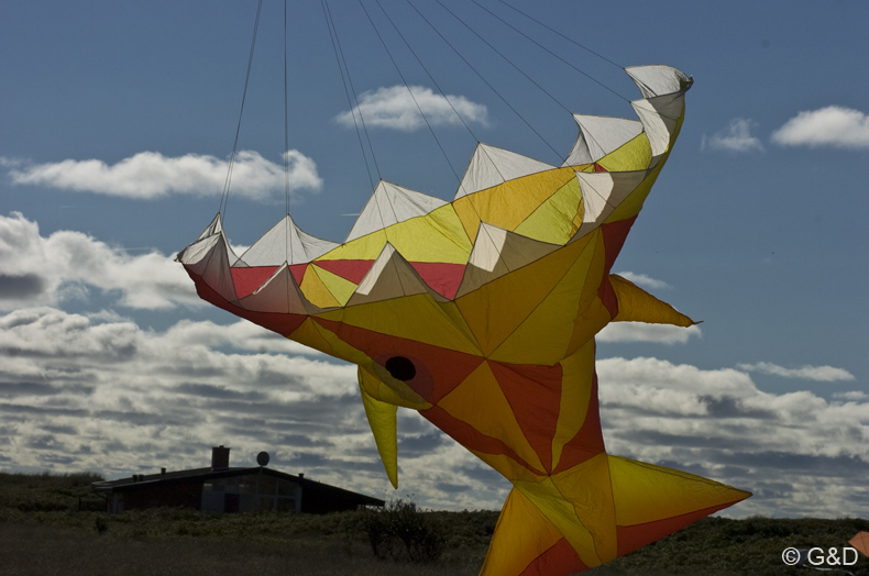 Dragefestival_Skagen 15