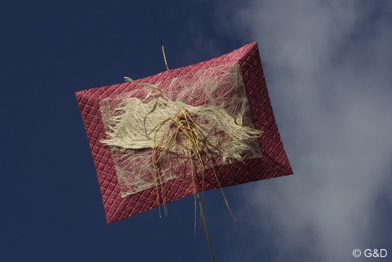 Dragefestival_Skagen 19