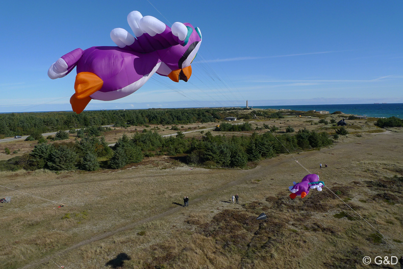 Dragefestival_Skagen 31