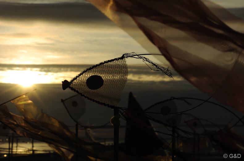 Berck.sur.Mer.2013_058