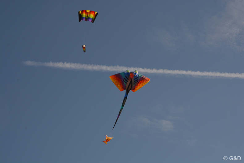 halloweenfliegen_Traisen_02