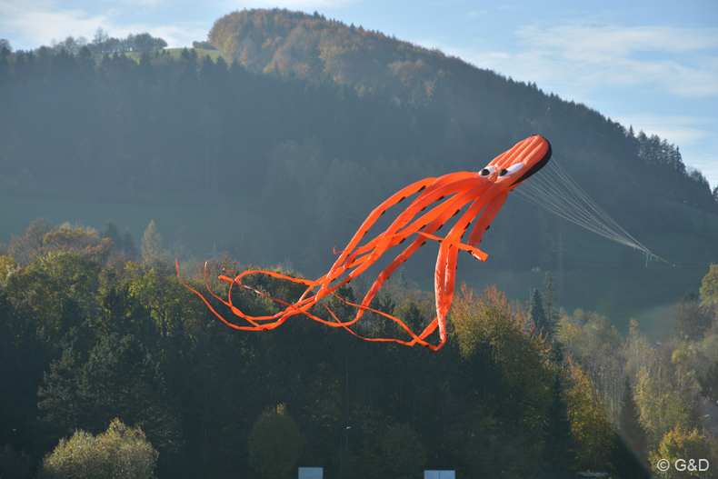 halloweenfliegen_Traisen_09