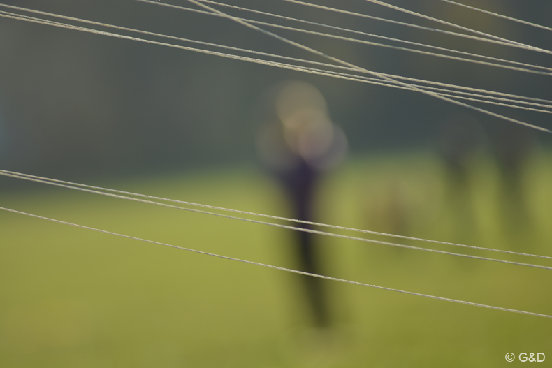 halloweenfliegen_Traisen_24