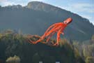 halloweenfliegen_Traisen_09