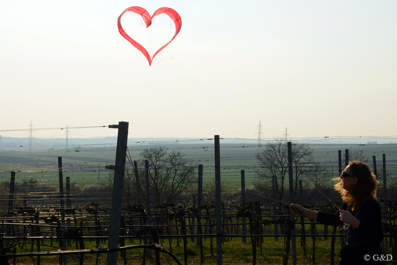 rochusberg.15