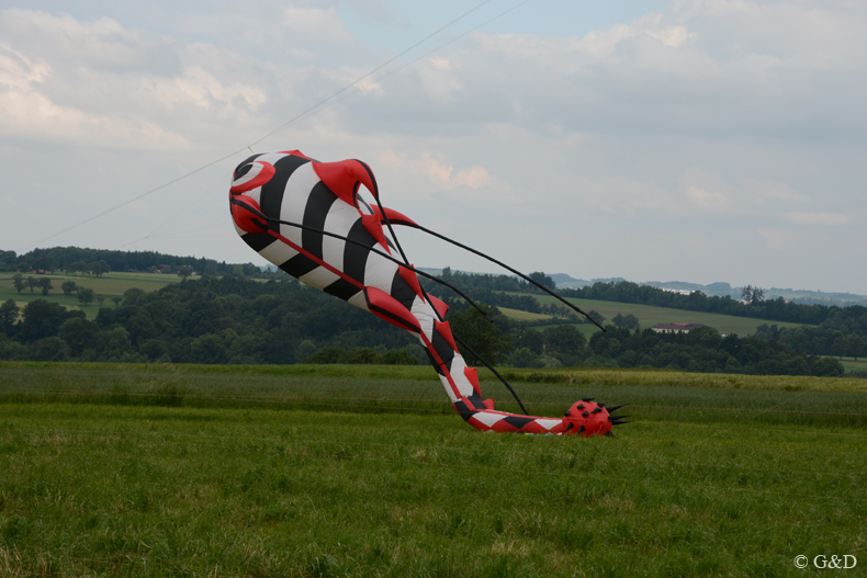 euratsfeld_01