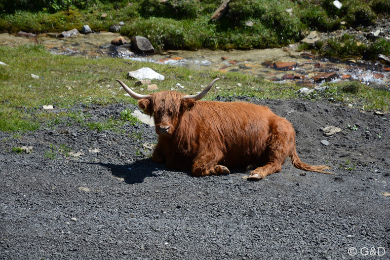 Lienz_2014_80