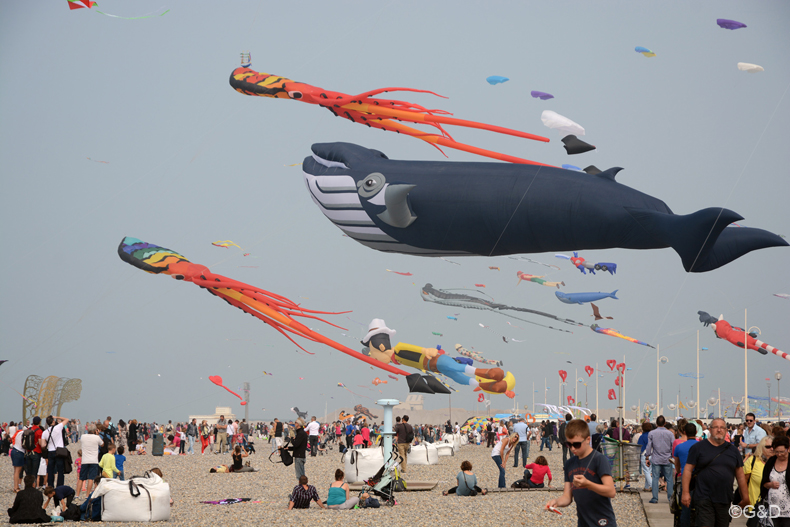 dieppe_2014_023