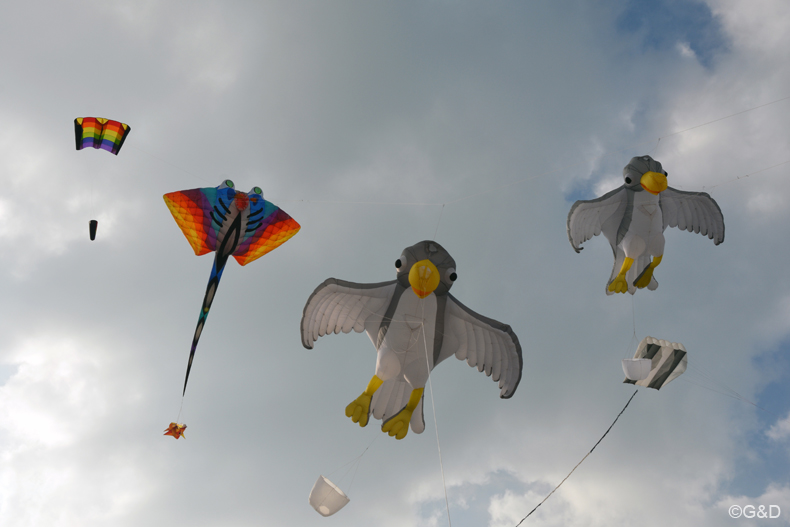 dieppe_2014_166