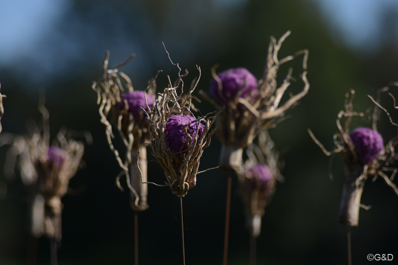 wienherbst_14.63