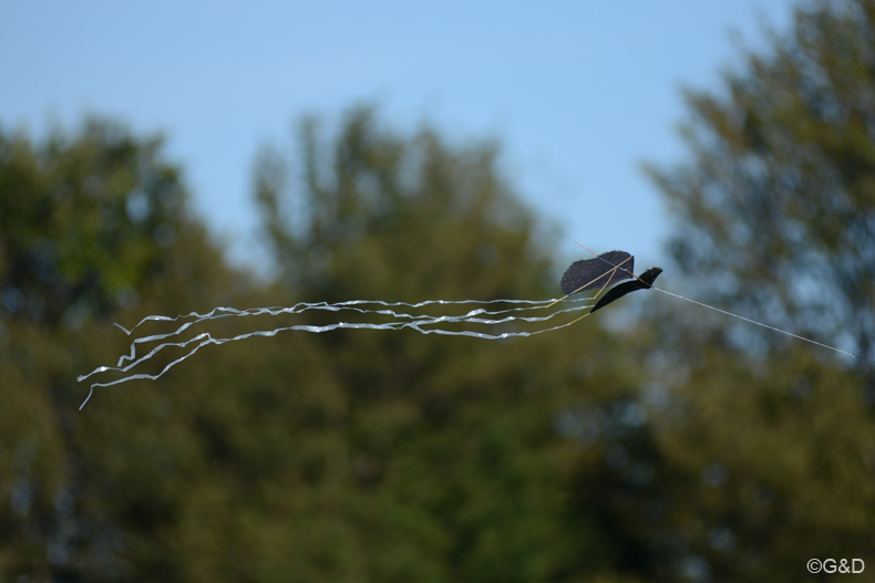 wienherbst_14.84