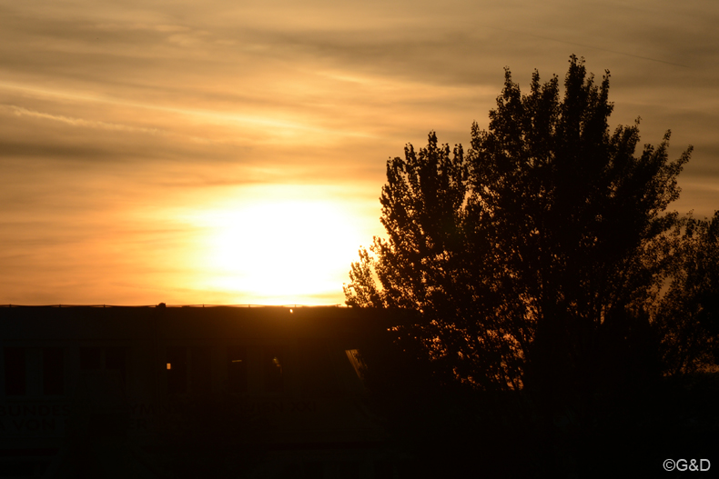 wienherbst_14.93