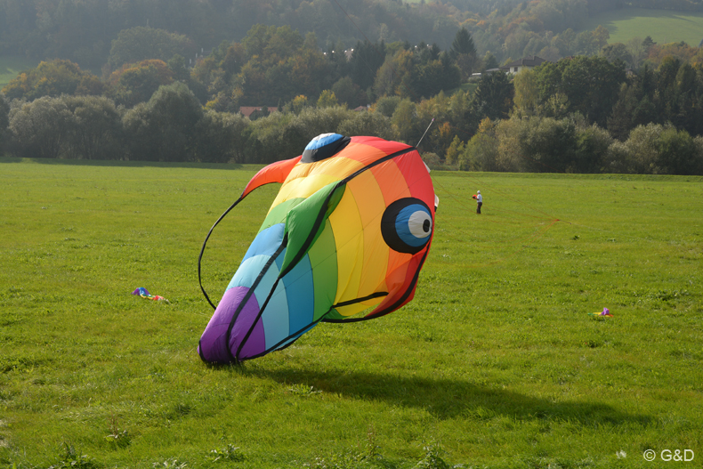 Traisen_2014_02