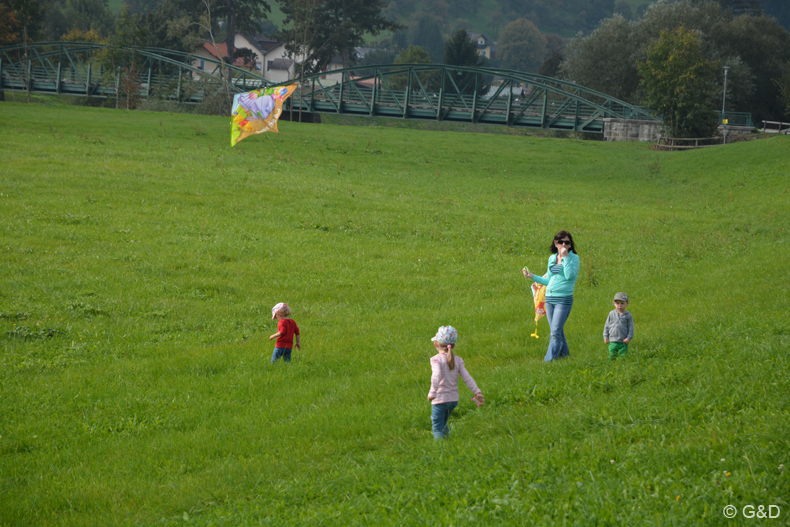 Traisen_2014_13