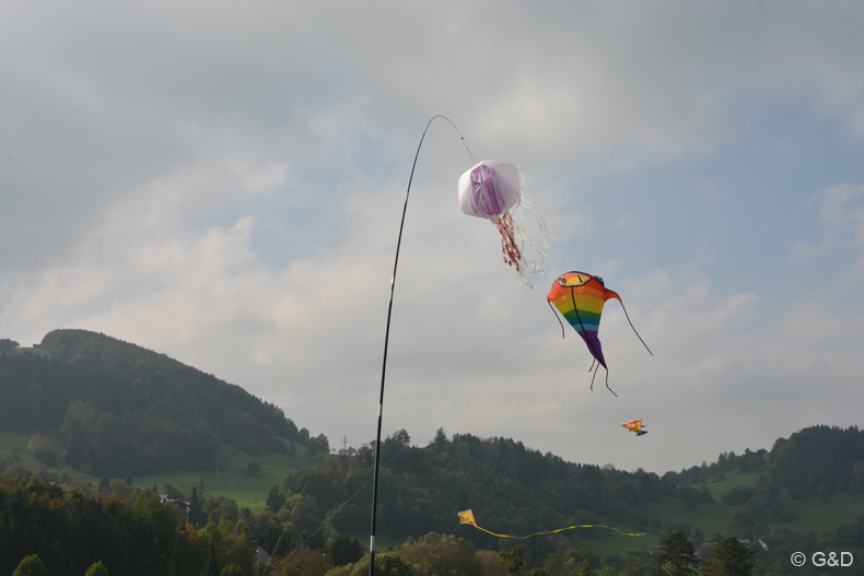 Traisen_2014_22