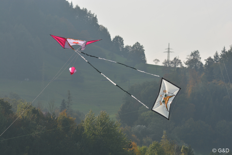 Traisen_2014_36