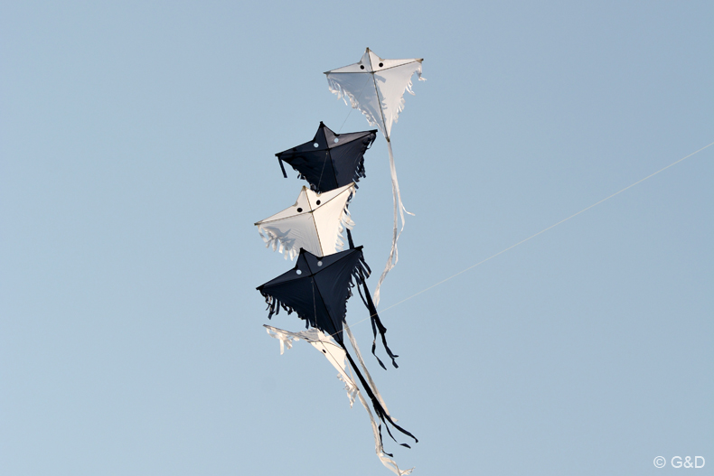 Traisen_2014_40