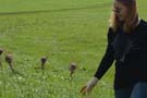 Traisen_2014_03