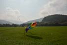 Traisen_2014_07