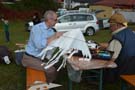 Traisen_2014_24
