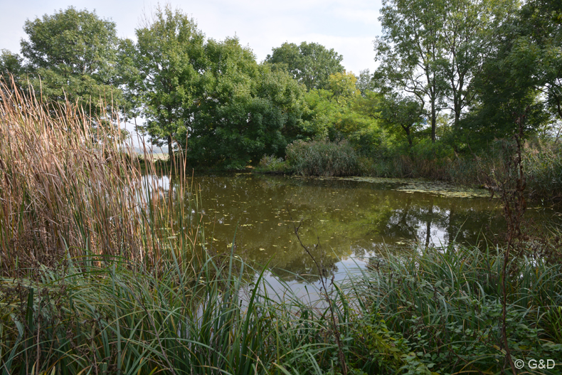 schlosshof_14_14