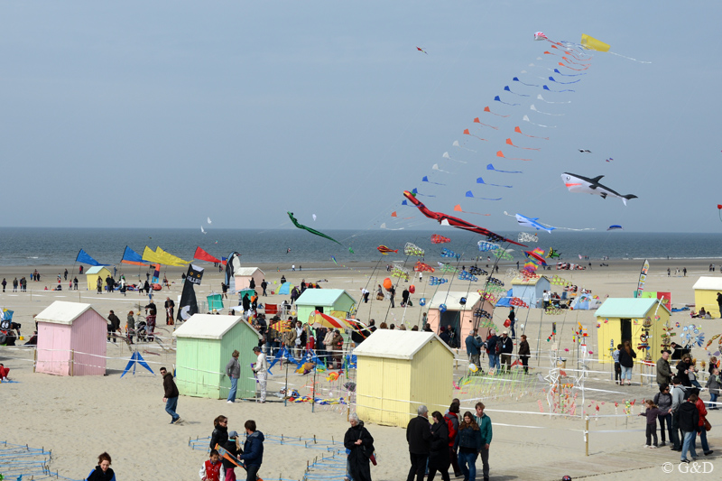 berck006