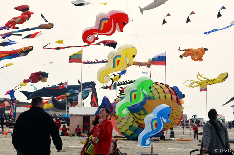 berck007