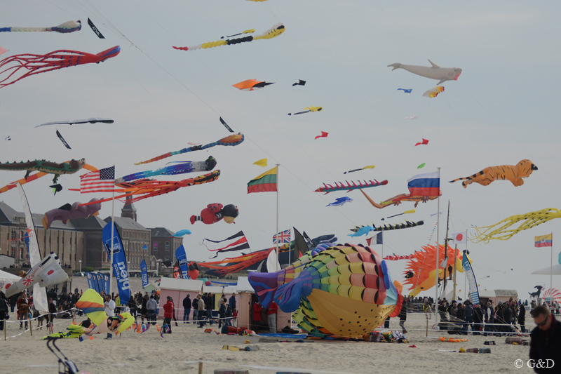 berck008
