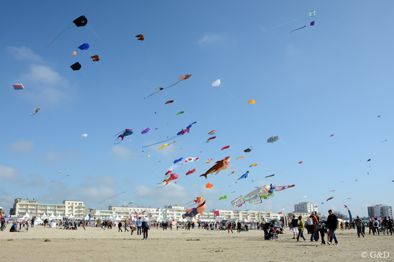 berck025