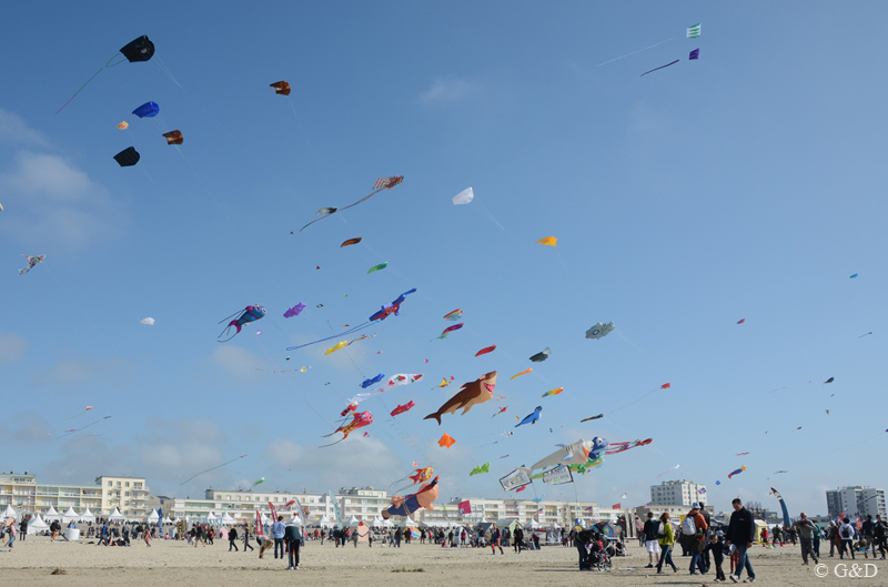 berck032